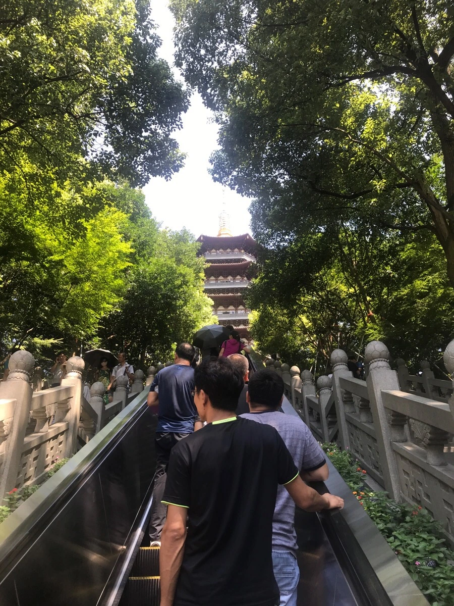 IMG_1217.jpg?type=w966