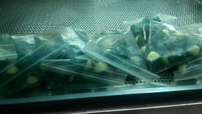 IMAG3333.jpg?type=w2