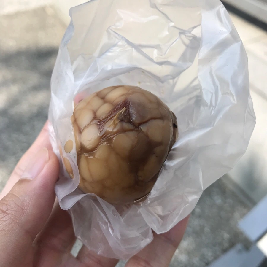 IMG_2950.jpg?type=w966