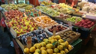 IMAG3389.jpg?type=w2