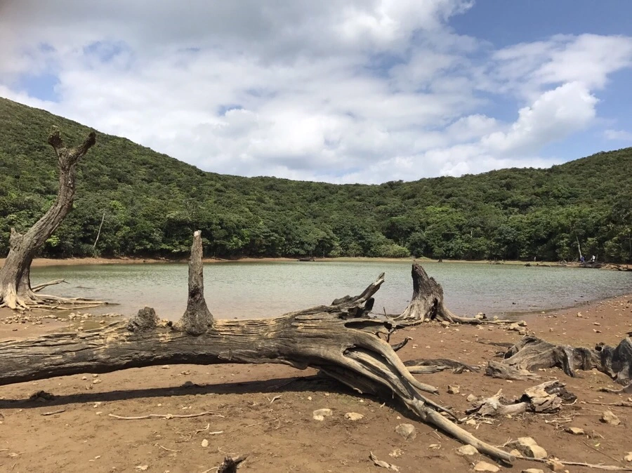 IMG_4031.jpg?type=w966