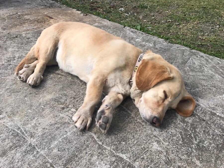 IMG_3742.jpg?type=w966