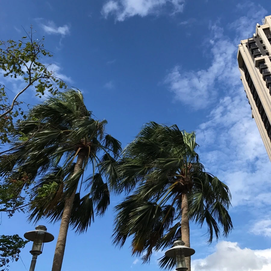 IMG_4831.JPG?type=w966