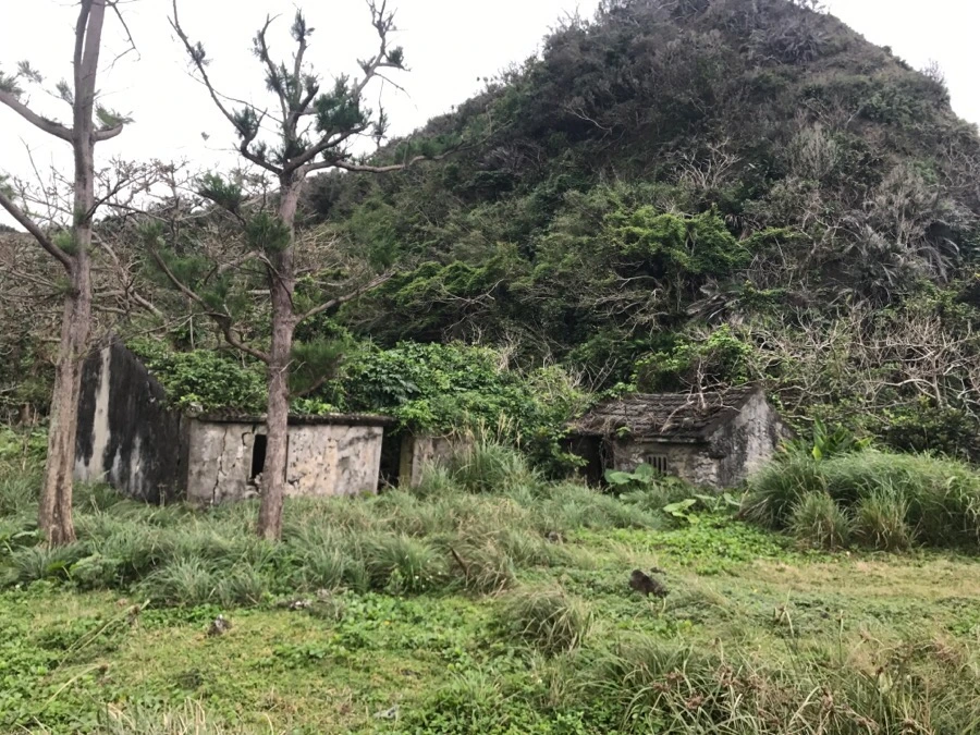 IMG_1609.jpg?type=w966