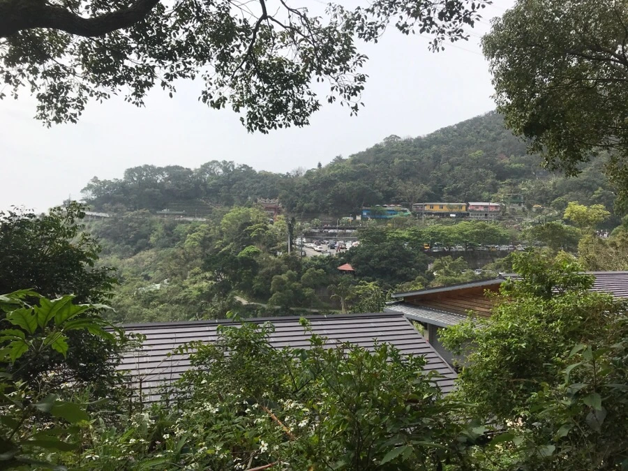 IMG_0046.jpg?type=w966