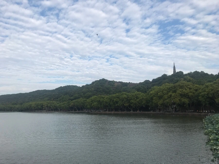 IMG_1074.jpg?type=w966