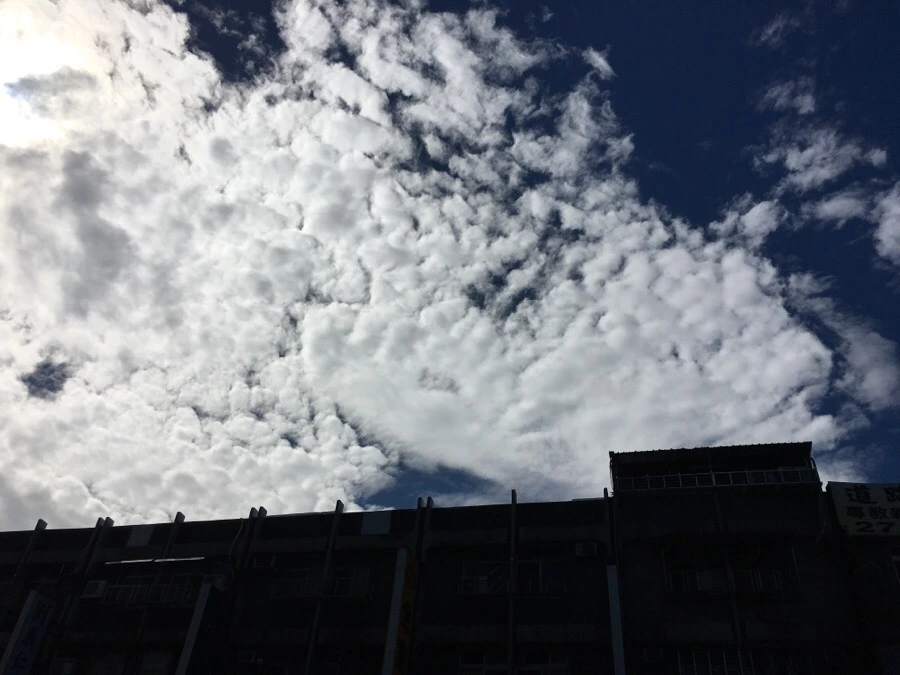 IMG_4947.JPG?type=w966