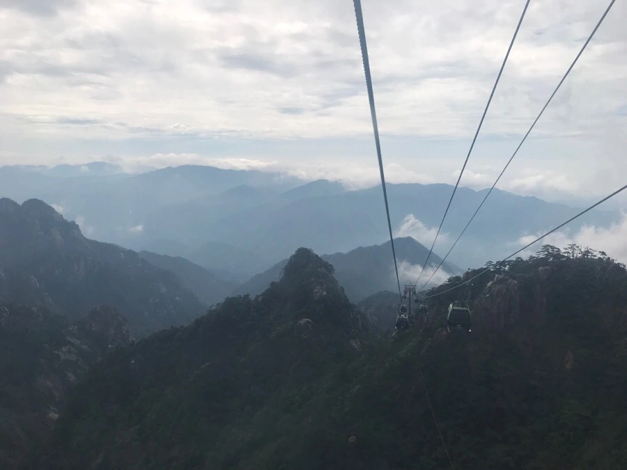 IMG_0707.jpg?type=w966