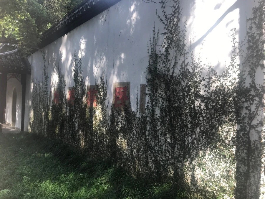 IMG_1116.jpg?type=w966