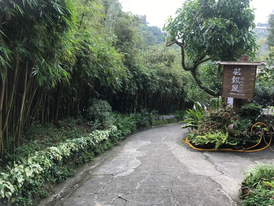 IMG_0041.jpg?type=w966