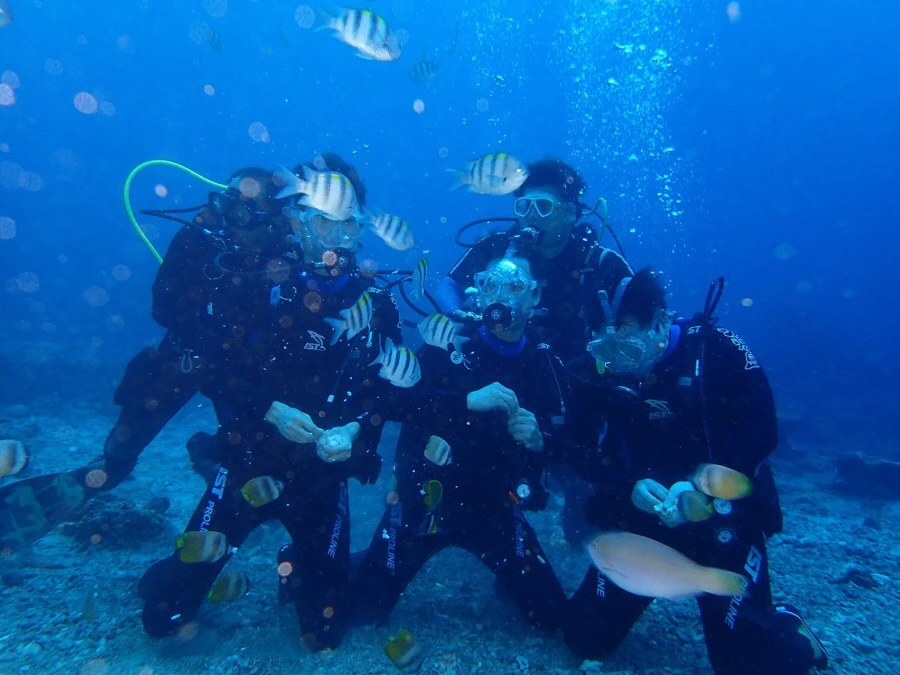 IMG_1825.jpg?type=w966