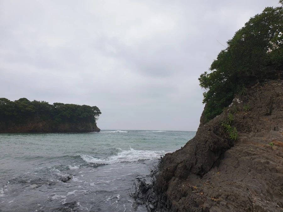 20190608_105830.jpg?type=w1