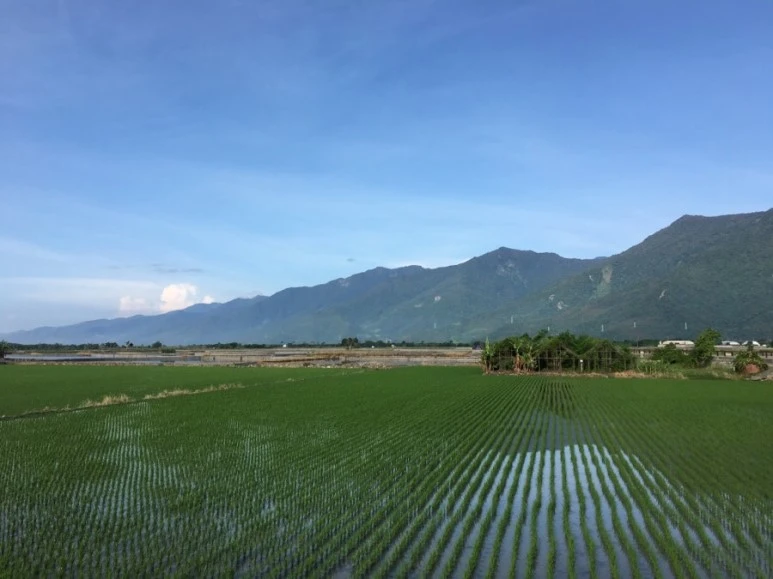 attachImage_3245862140.jpeg?type=w773