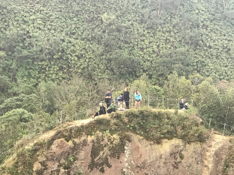 IMG_1085.jpg?type=w966