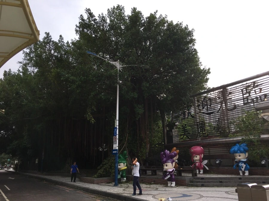 IMG_4802.JPG?type=w966