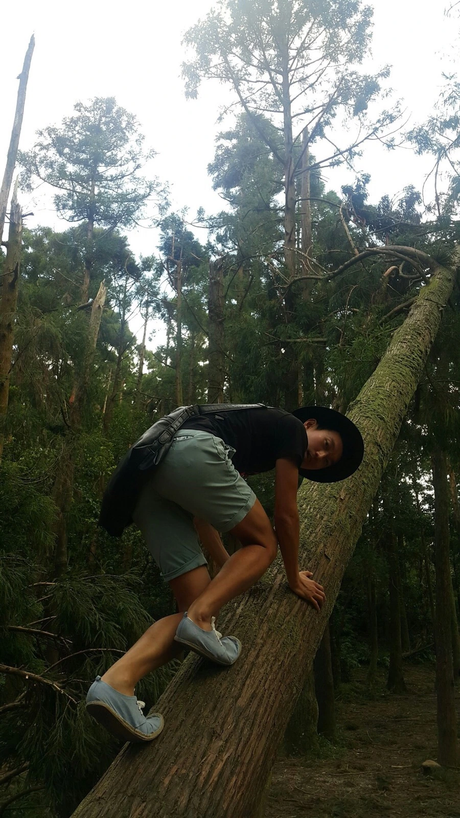 IMG_4250.JPG?type=w966