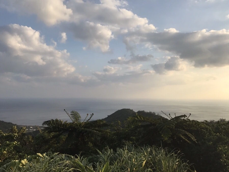 IMG_4006.jpg?type=w966