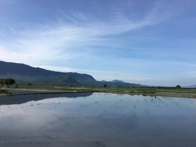 attachImage_451097286.jpeg?type=w773