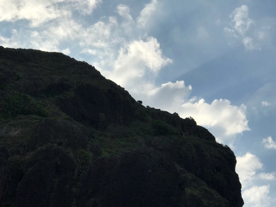 IMG_3768.jpg?type=w966