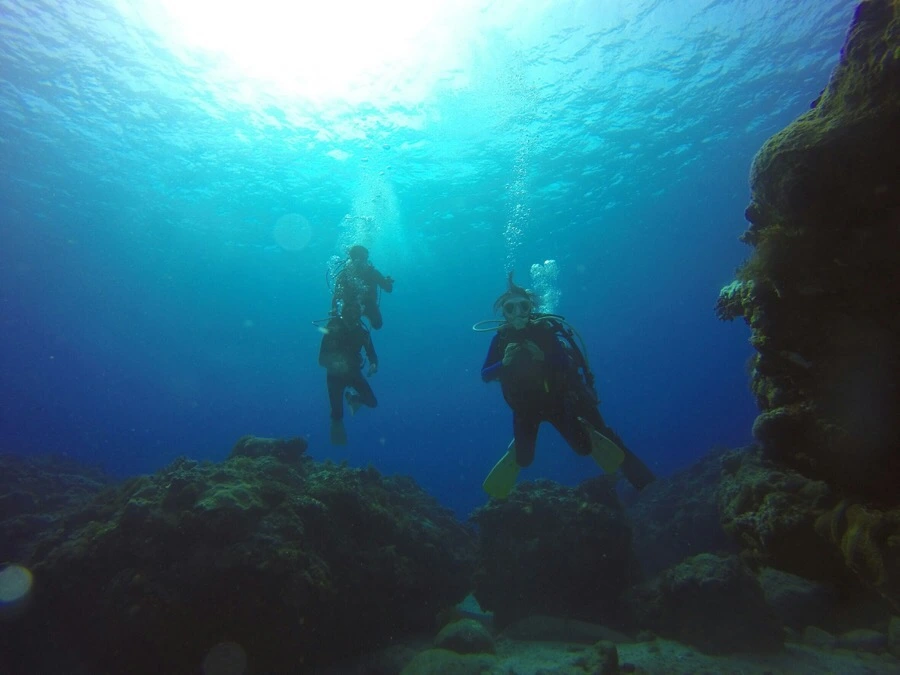 IMG_3593.jpg?type=w966