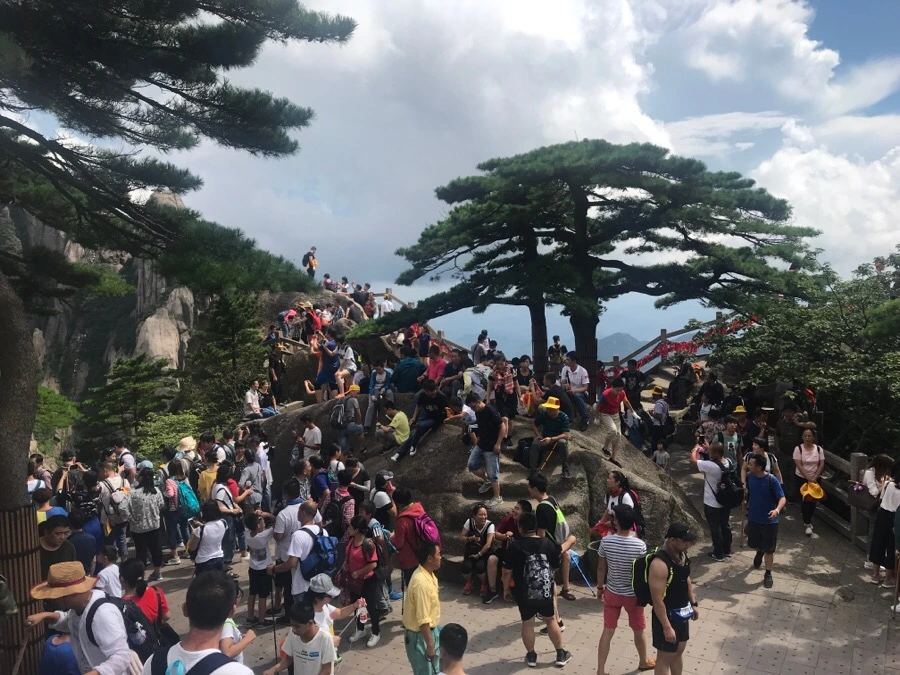 IMG_0915.jpg?type=w966