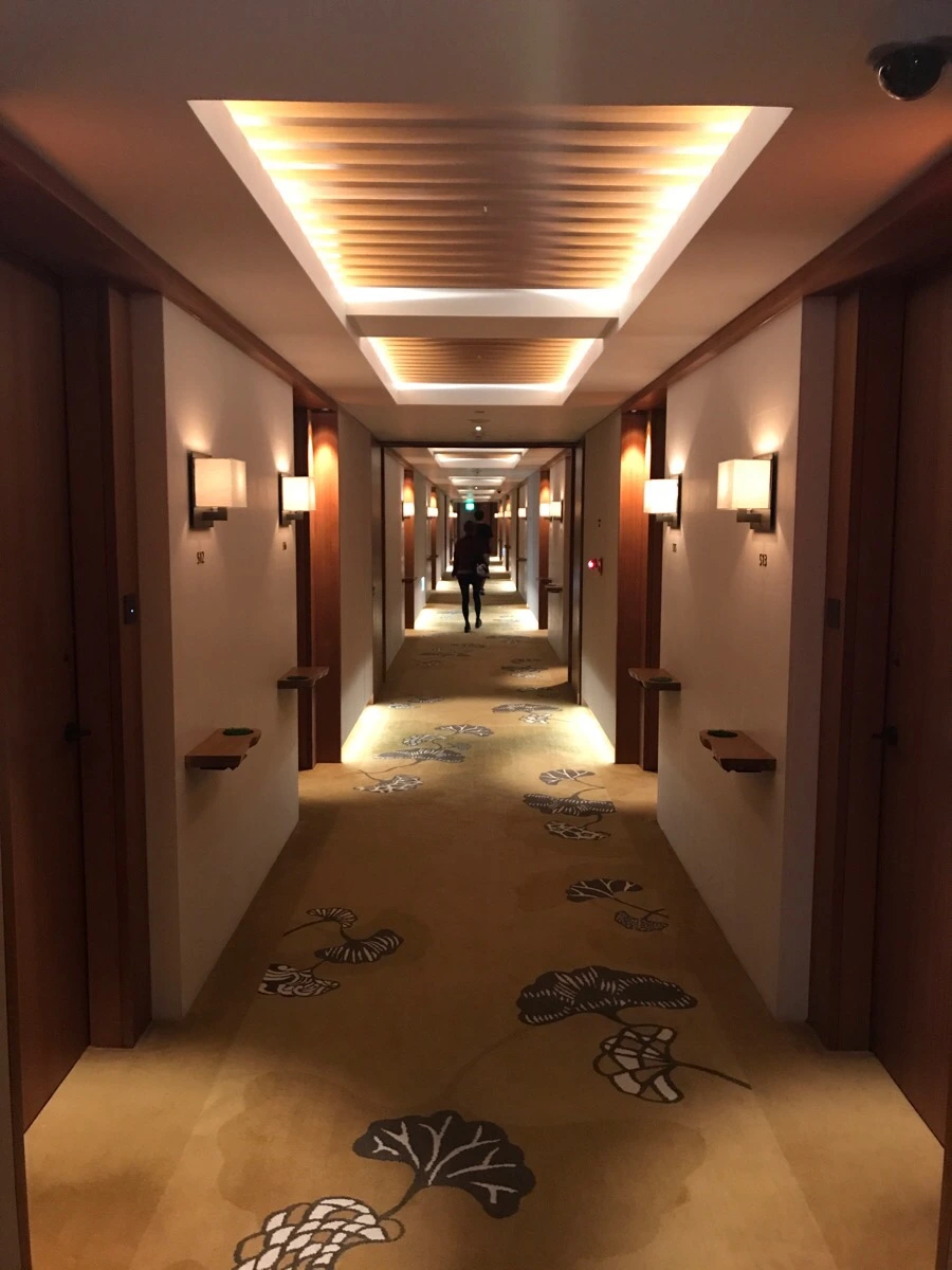 IMG_5382.jpg?type=w966