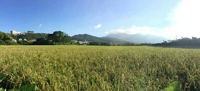 FB_IMG_1468640510497.jpg?type=w773