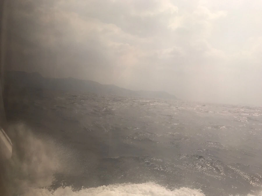 IMG_3368.jpg?type=w966