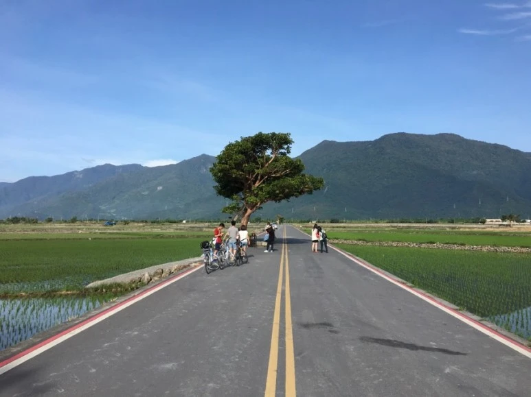 attachImage_1952342274.jpeg?type=w773