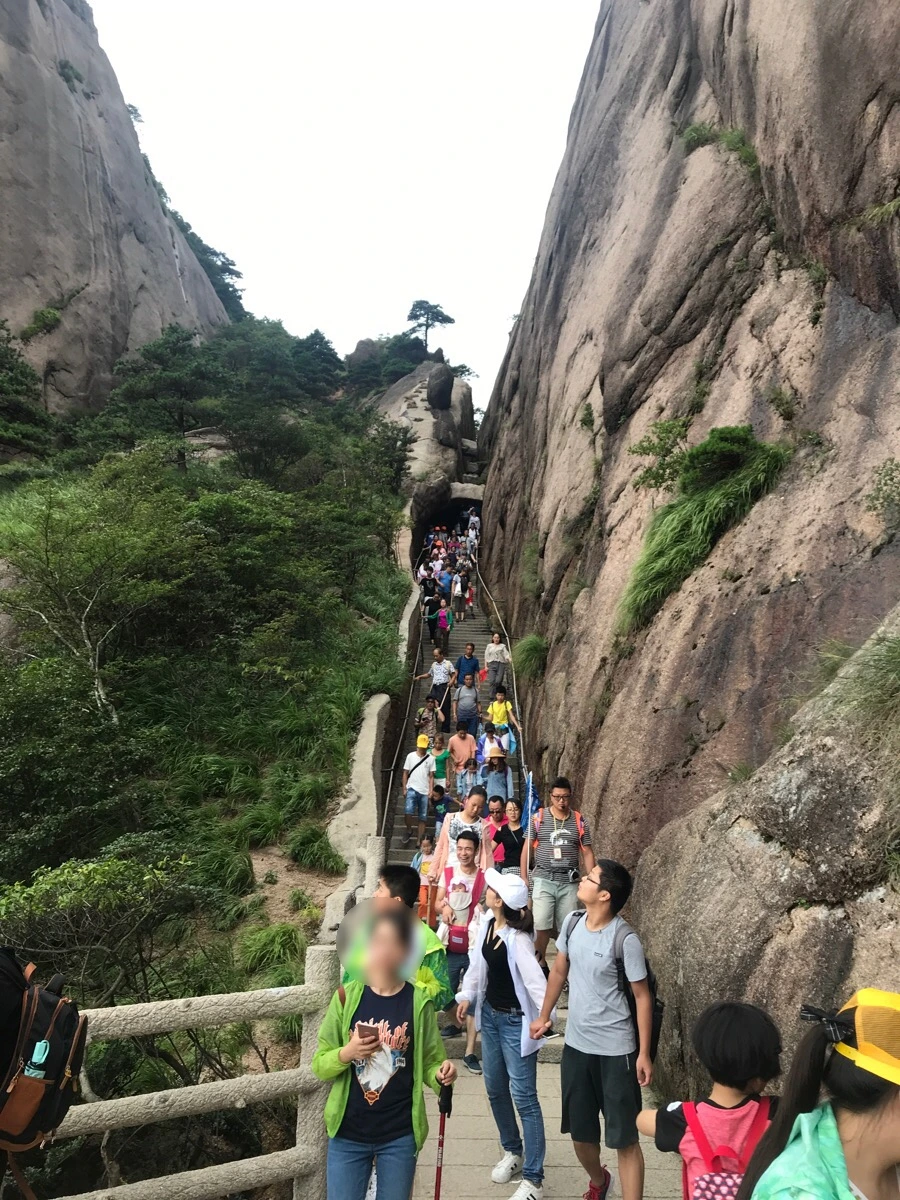 image_7161520711539010209942.jpg?type=w966