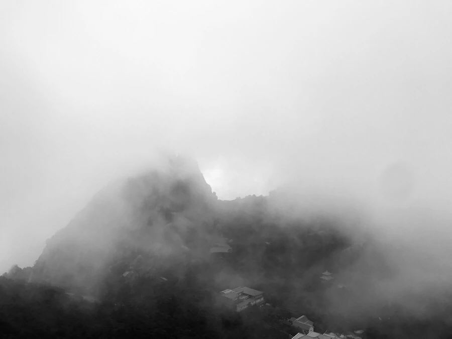 IMG_0775.jpg?type=w966