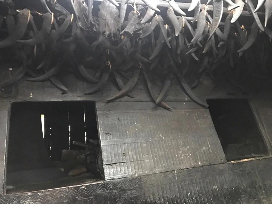 IMG_3881.jpg?type=w966