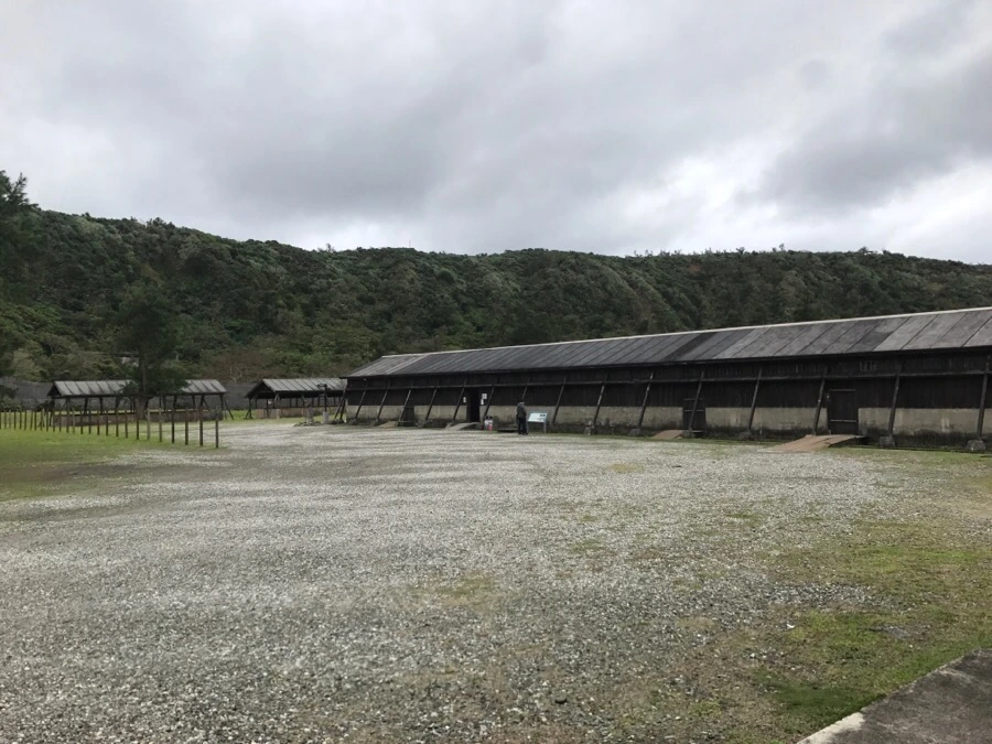 IMG_1689.jpg?type=w966