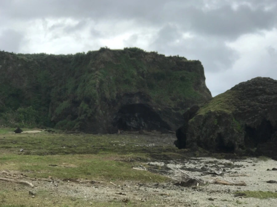 IMG_1604.jpg?type=w966