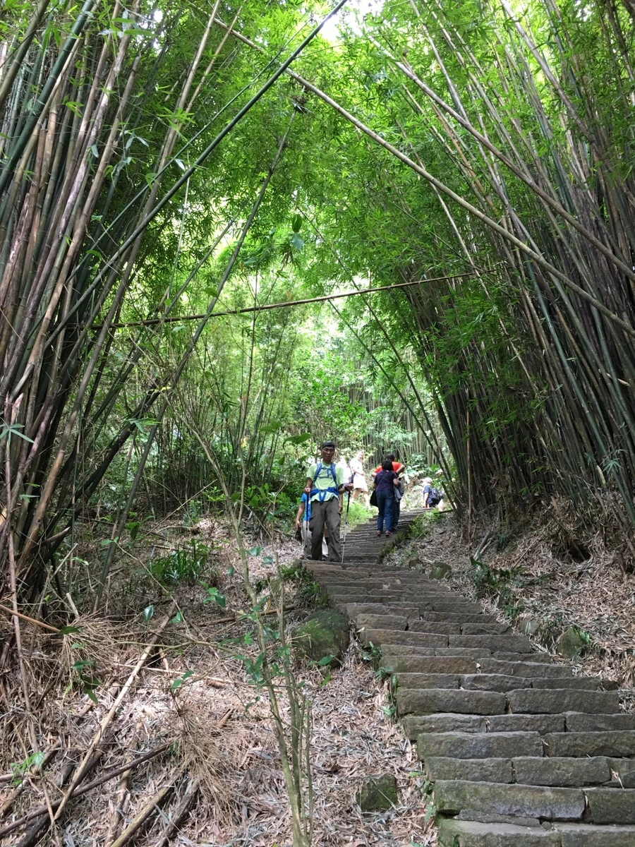 IMG_4719.JPG?type=w966