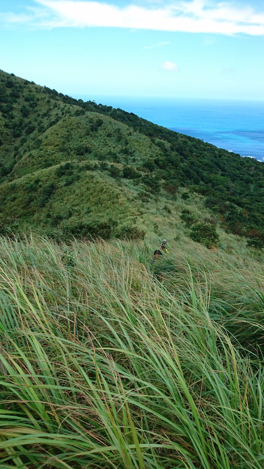 IMG_5231.JPG?type=w1