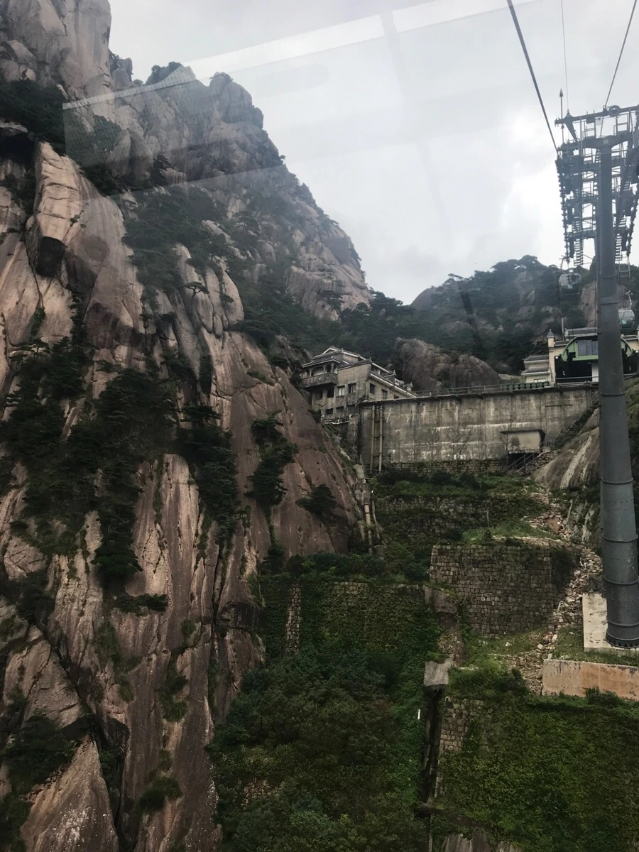 IMG_0948.jpg?type=w966