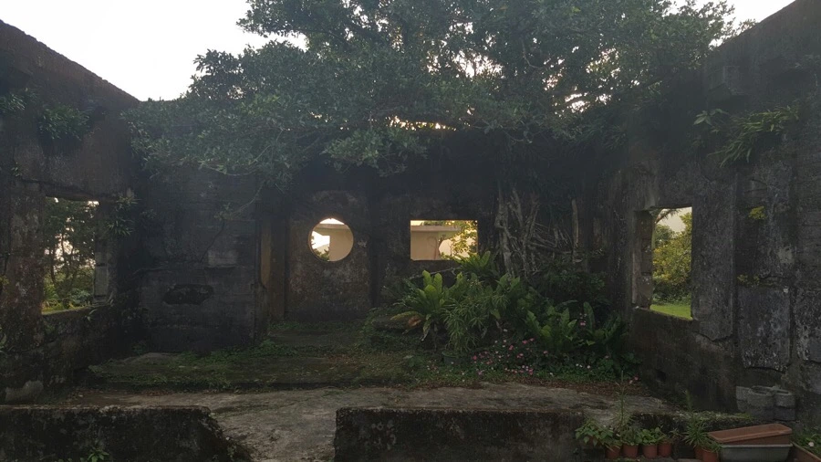 IMG_4102.jpg?type=w966