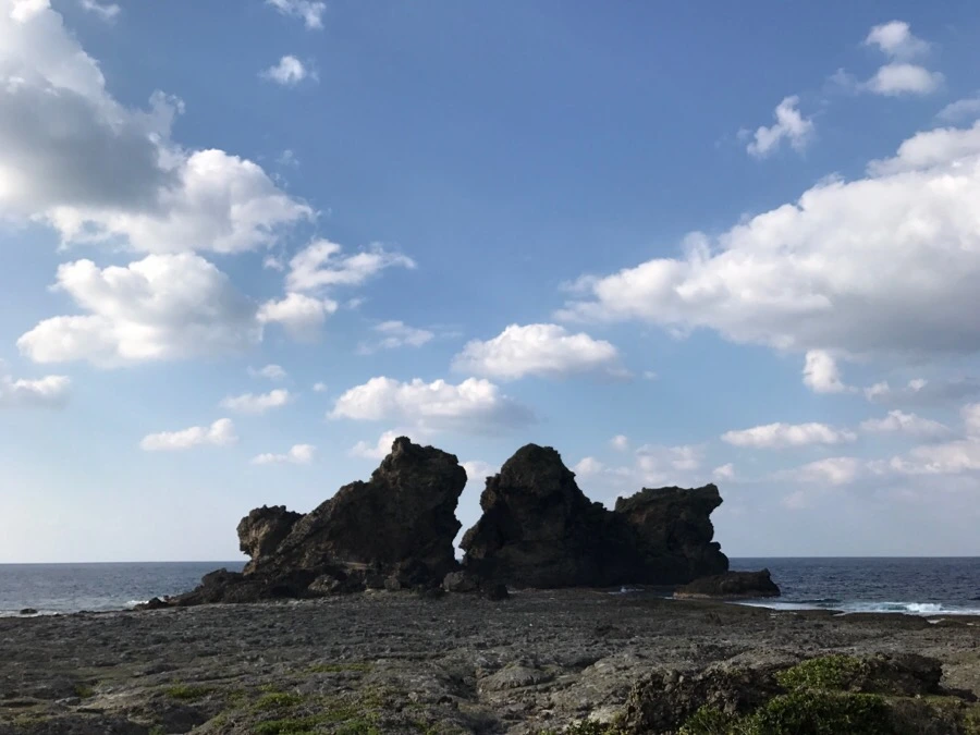 IMG_3761.jpg?type=w966