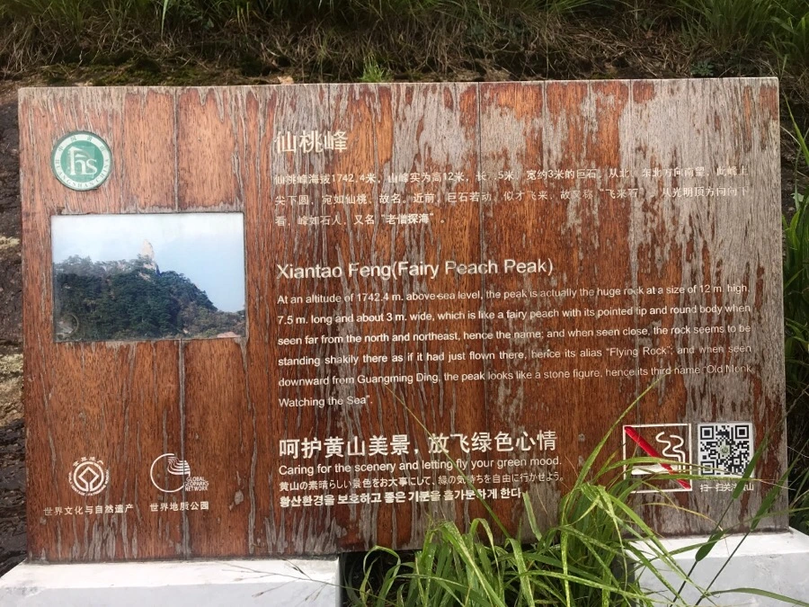 IMG_0749.jpg?type=w966