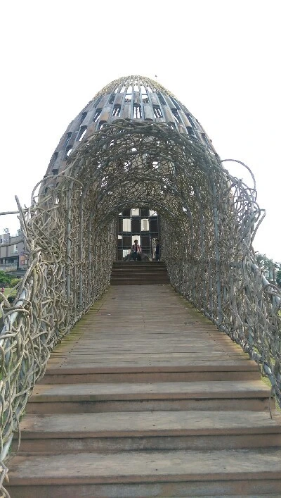 IMAG4787.jpg?type=w773