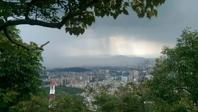 IMAG6109.jpg?type=w773