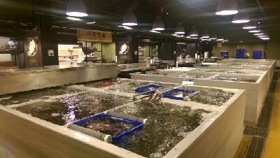 IMAG5087.jpg?type=w966