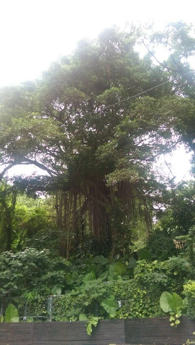 IMAG6016.jpg?type=w773