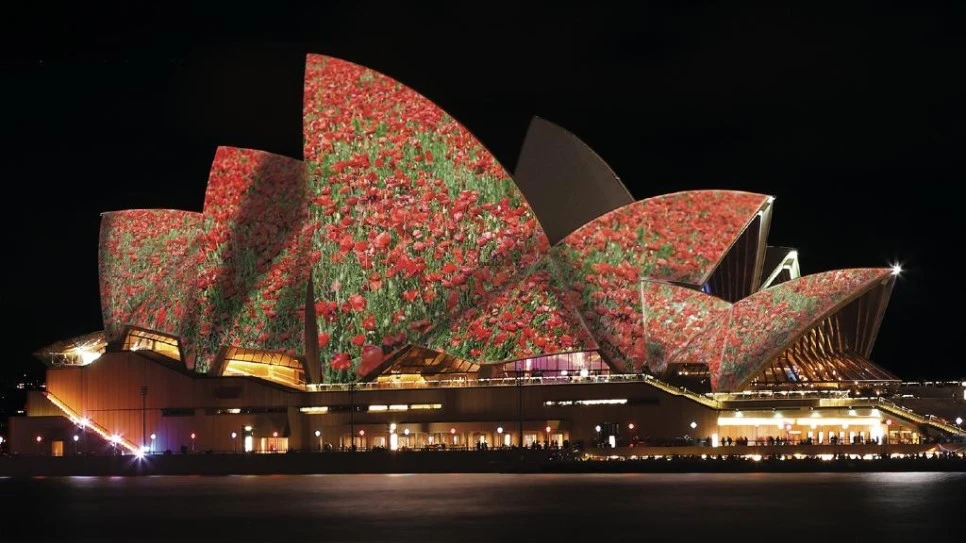 c1d76ec5b4e3dde670b034c03d5acf46.jpeg?type=w966