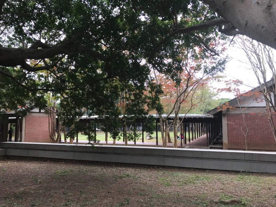 IMG_9949.jpg?type=w966