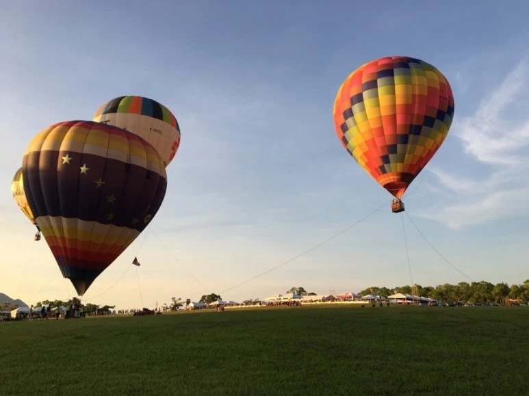 attachImage_3228202827.jpeg?type=w773