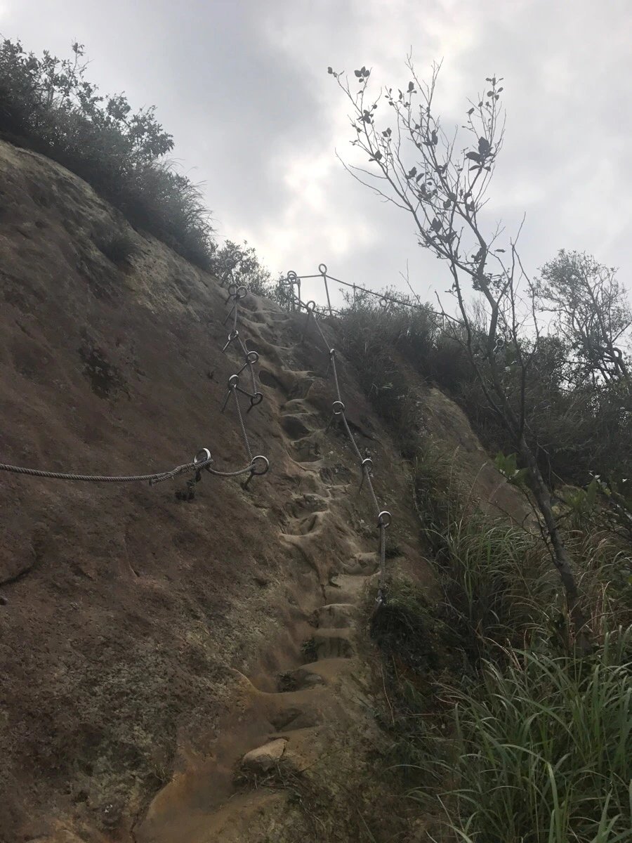 IMG_1057.jpg?type=w966