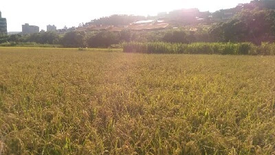 IMAG6235.jpg?type=w773