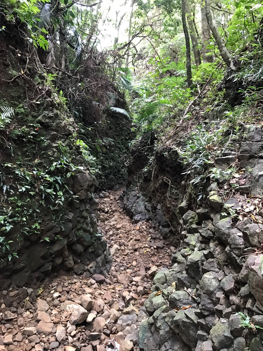 IMG_3652.jpg?type=w966